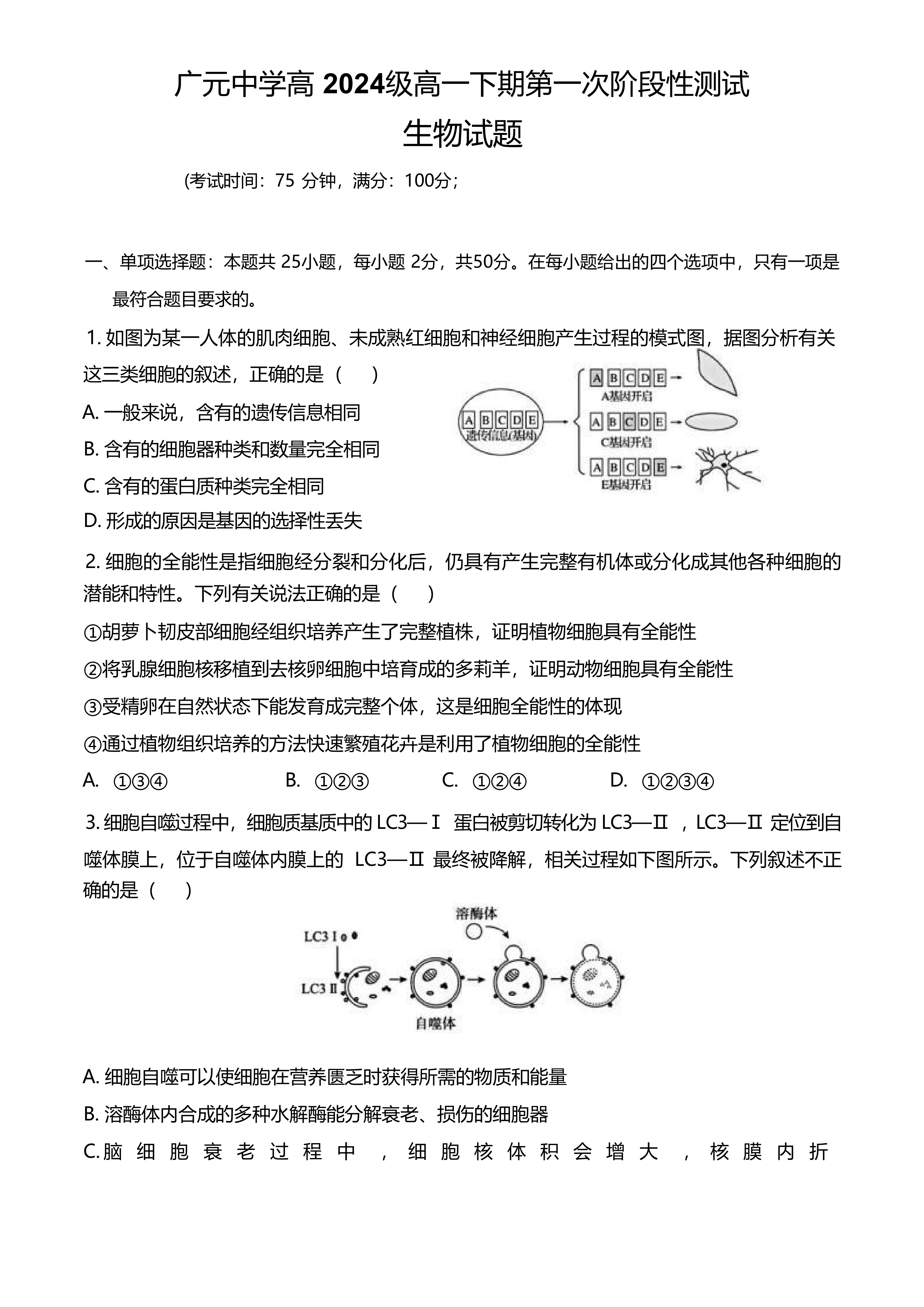 四川省广元中学2024-2025学年高一下学期第一次阶段性测试生物试卷(含答案)