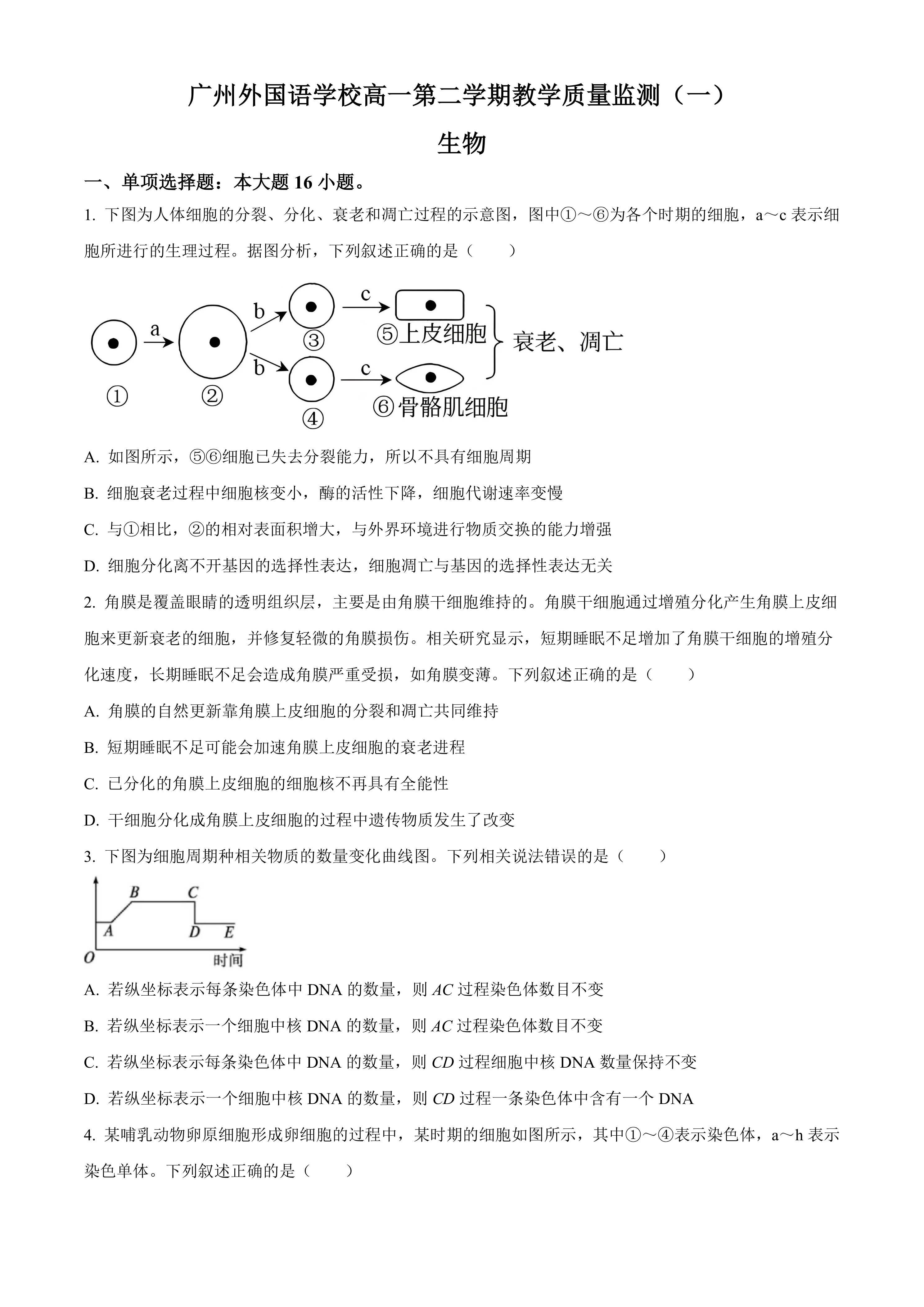 广东省广州市南沙区广州外国语学校2024-2025学年高一下学期3月月考生物试题(含答案)