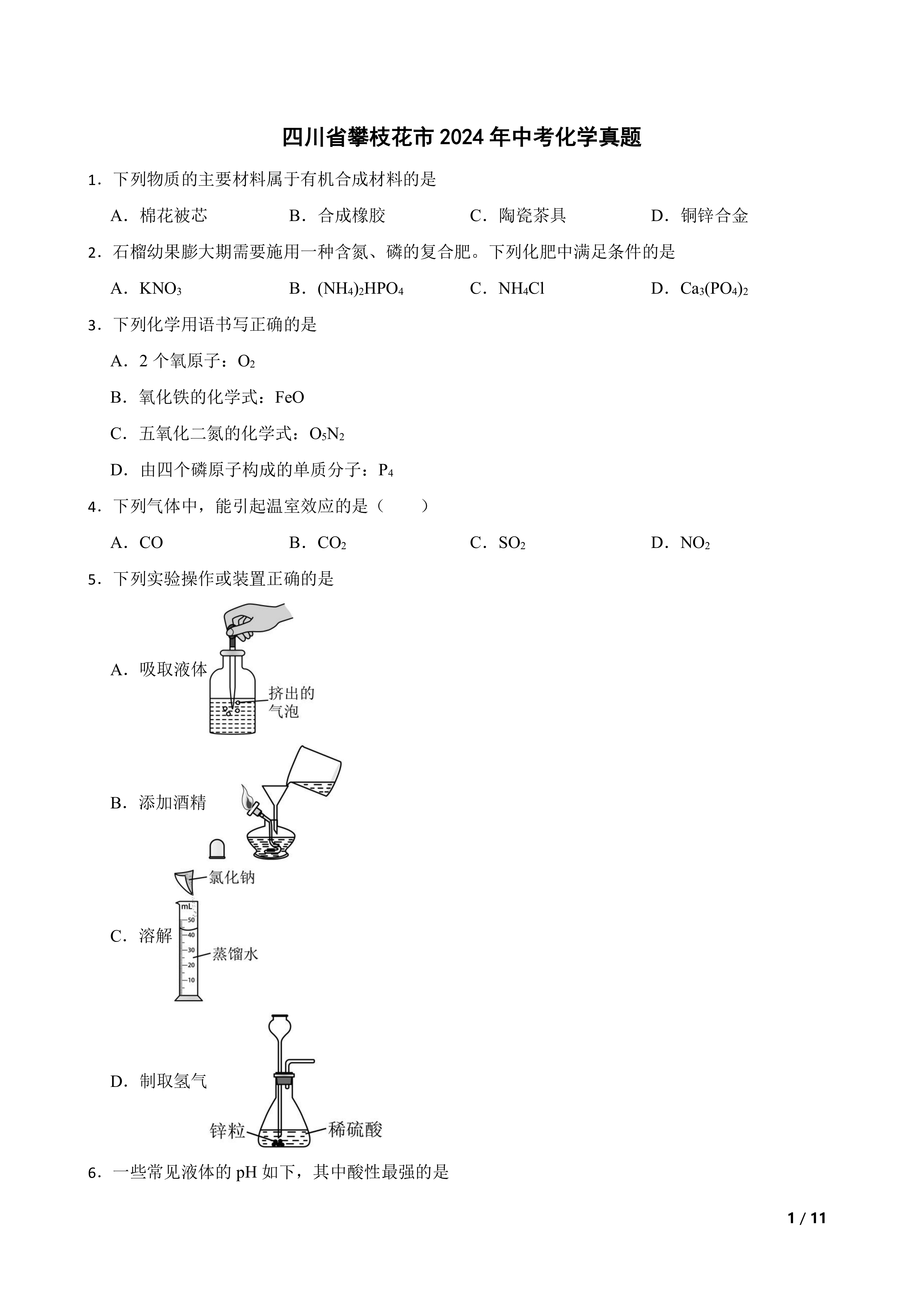 四川省攀枝花市2024年中考化学真题