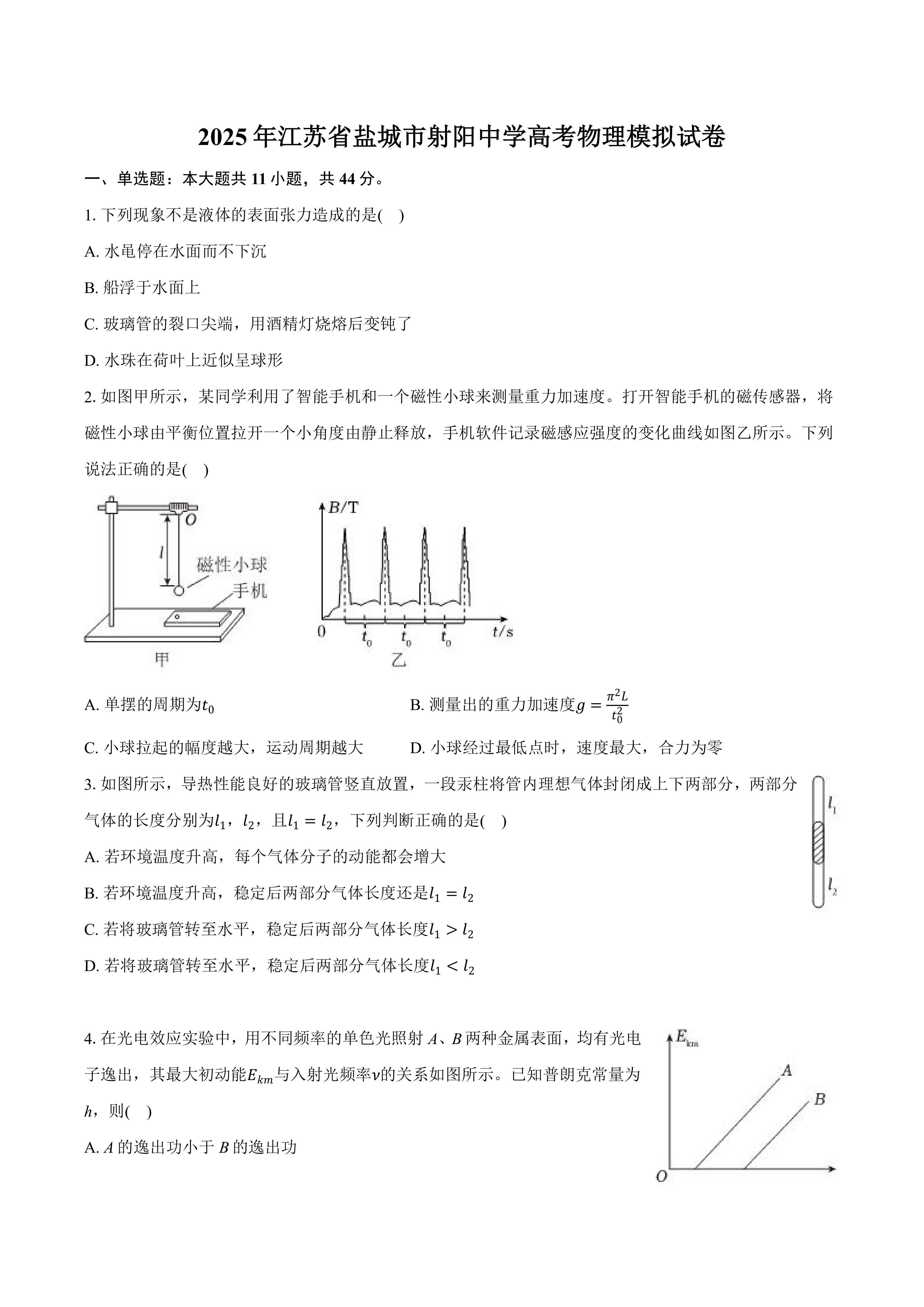 2025届江苏省盐城市射阳中学高三下学期模拟物理试卷(含解析)