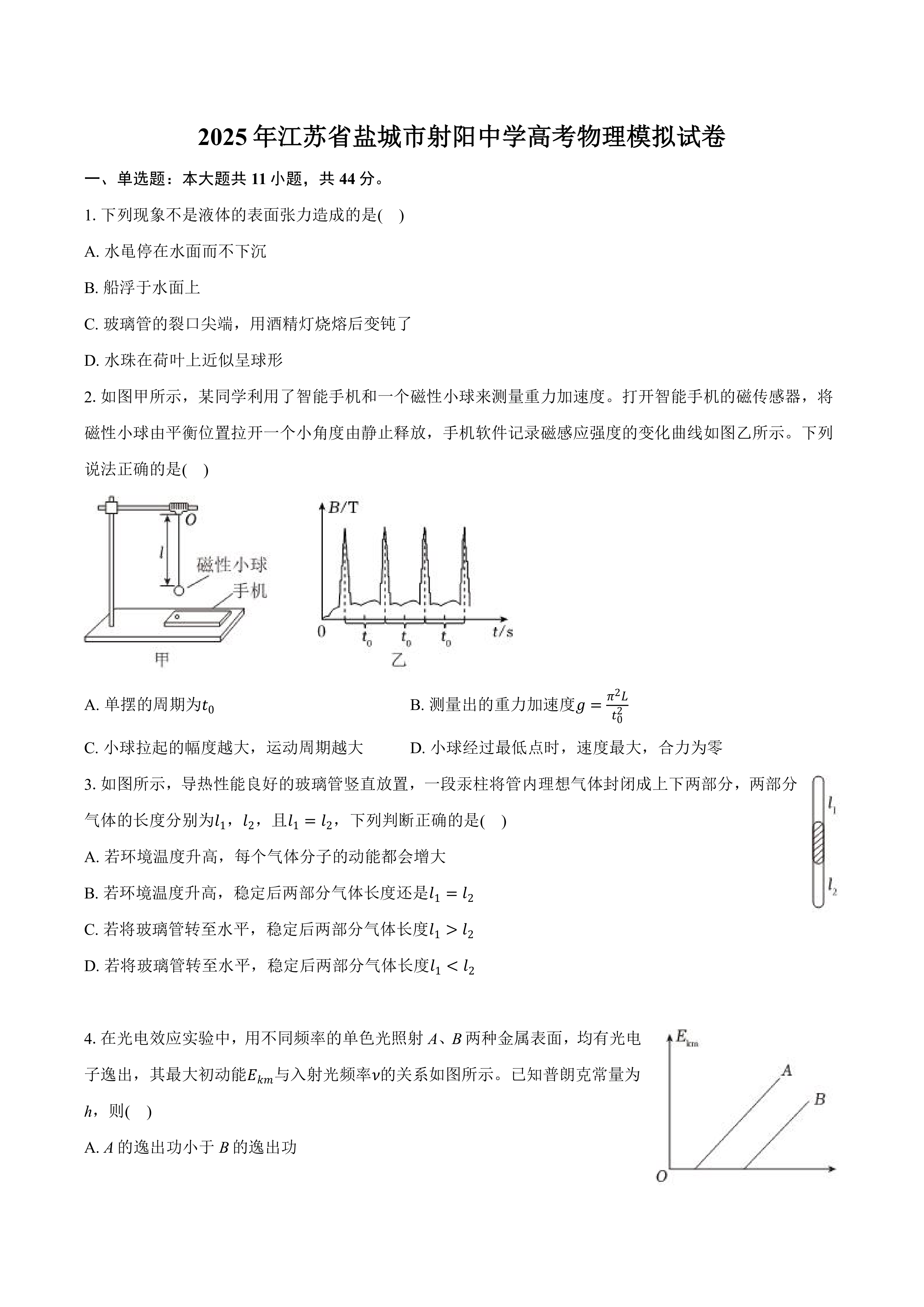 2025届江苏省盐城市射阳中学高三下学期模拟物理试卷(含解析)